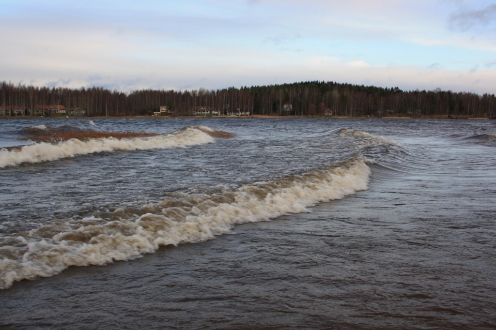 Kuva: Harri Saastamoinen
