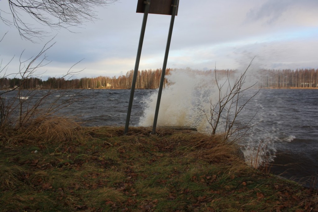 Kuva: Harri Saastamoinen
