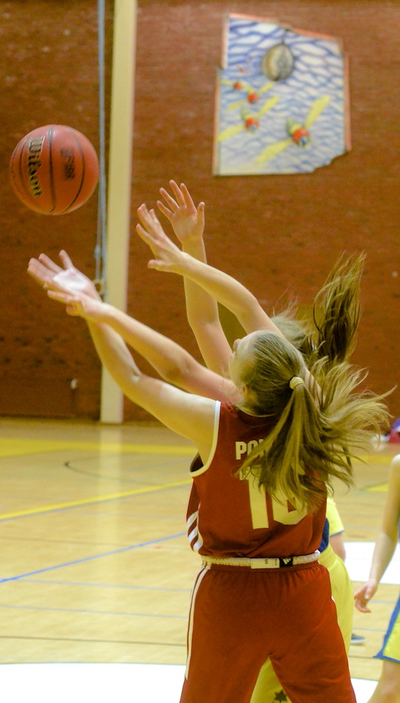 Maalauksellista on ainakin taustalla näkyvä herhiläisgrafiikka.