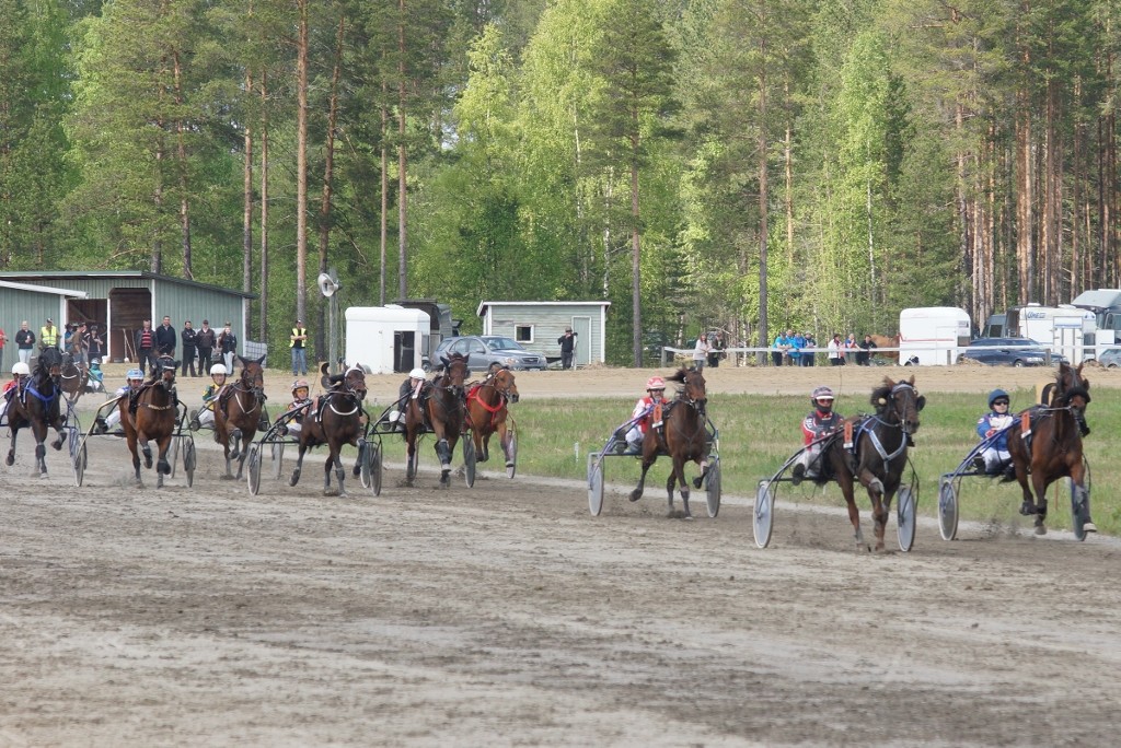 Kuva: Merja Ahola-Turpeinen