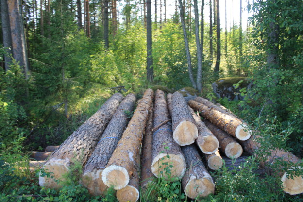 Millaisia ilmastovaikutuksia Keski-Suomen maakuntakaavalla on? | ÄKS