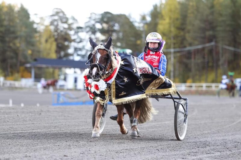 Elli-Noora Romppaselle Kriterium-finaalin ponilähdön voitto