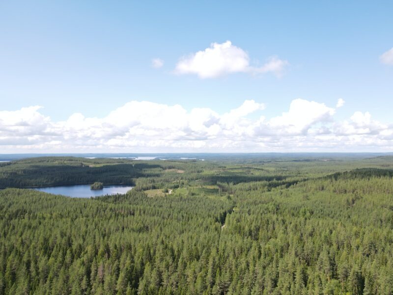 Perinteikkäitä Sisä-Suomen rastipäivien rasteja etsitään viikonvaihteessa Järvenpään kylän perämetsistä