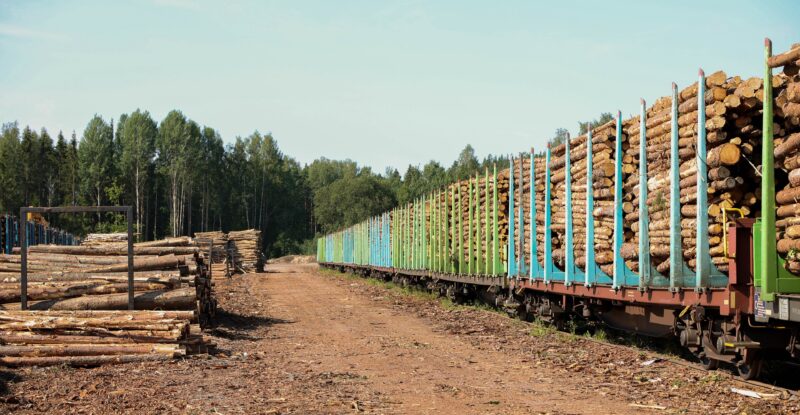 Luvaton liikkuminen yhä ongelmana raakapuun kuormauspaikoilla – Suolahdessa käytetään luvatonta